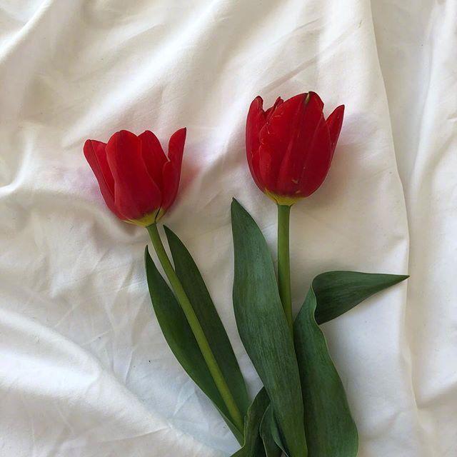 欢庆五一劳动节快乐问候语，发朋友圈人气超高！