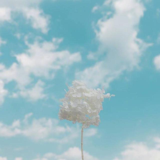 五一劳动节给顾客的祝福语，温情真挚，万里挑一！