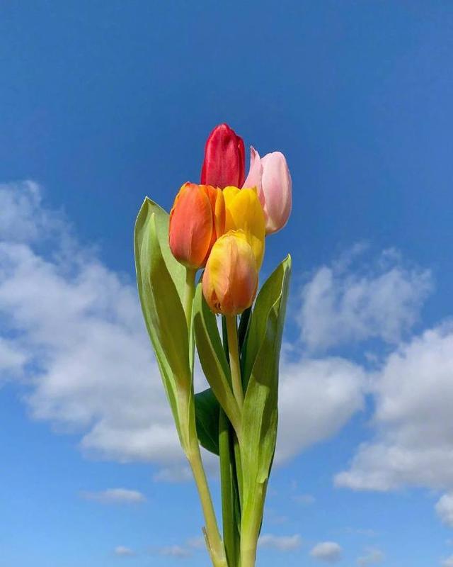 五一国际劳动节祝福语，赶快拿去发朋友圈！