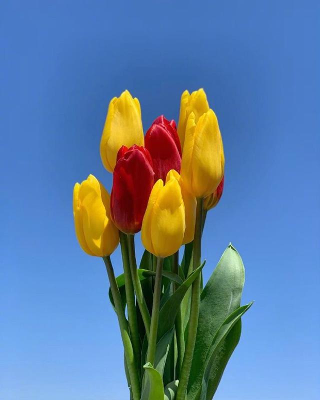 五一国际劳动节祝福语，赶快拿去发朋友圈！