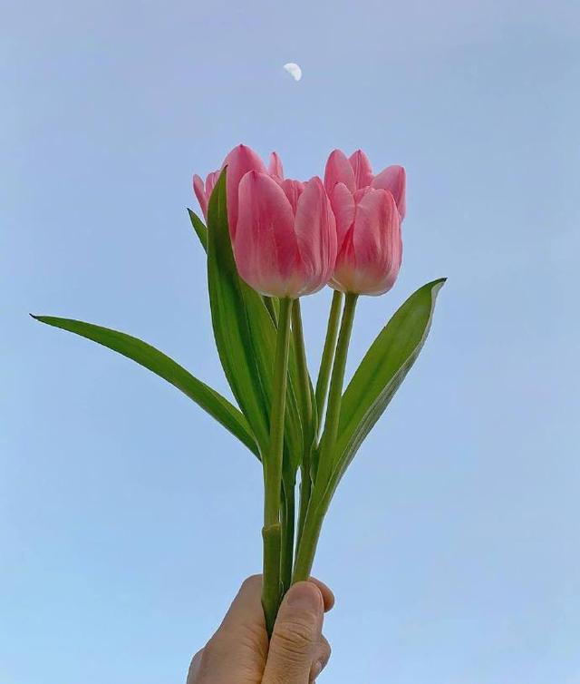 五一国际劳动节祝福语，赶快拿去发朋友圈！