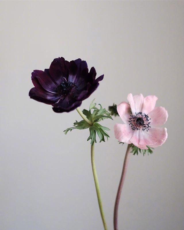 5.1劳动节朋友圈祝福寄语，句句温馨，节日快乐！