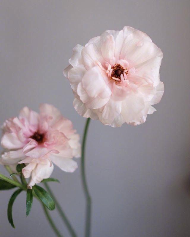 5.1劳动节朋友圈祝福寄语，句句温馨，节日快乐！