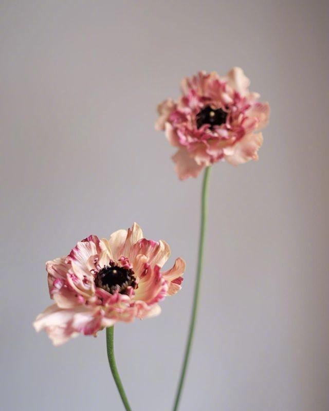 5.1劳动节朋友圈祝福寄语，句句温馨，节日快乐！