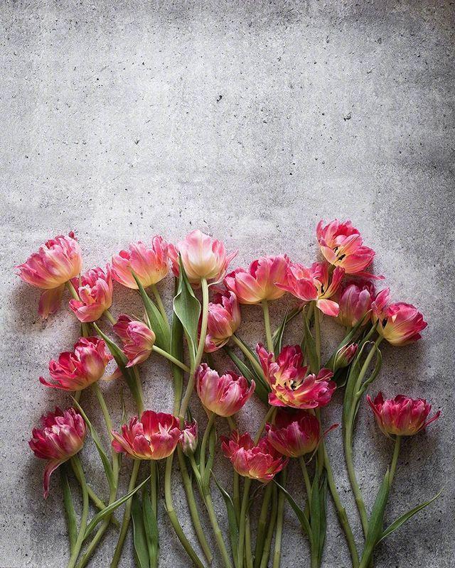 五一国际劳动节祝福语图片，简短精致，句句走心！