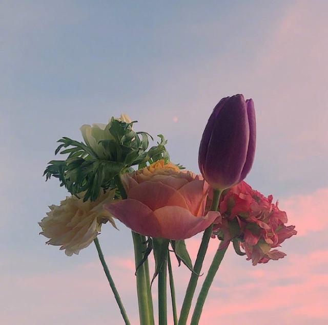 五一劳动节放假给客户的慰问短信，句句经典温馨！