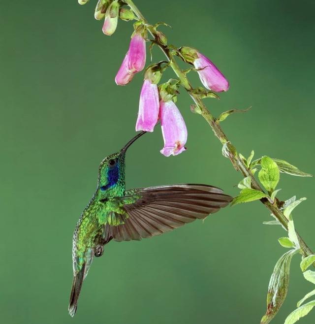 积极向上的人生态度句子，送给追梦路上的你！