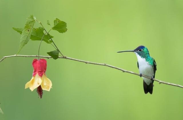 积极向上的人生态度句子，送给追梦路上的你！