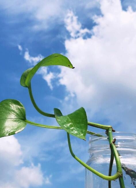 早上发的正能量励志说说，发朋友圈人人点赞！