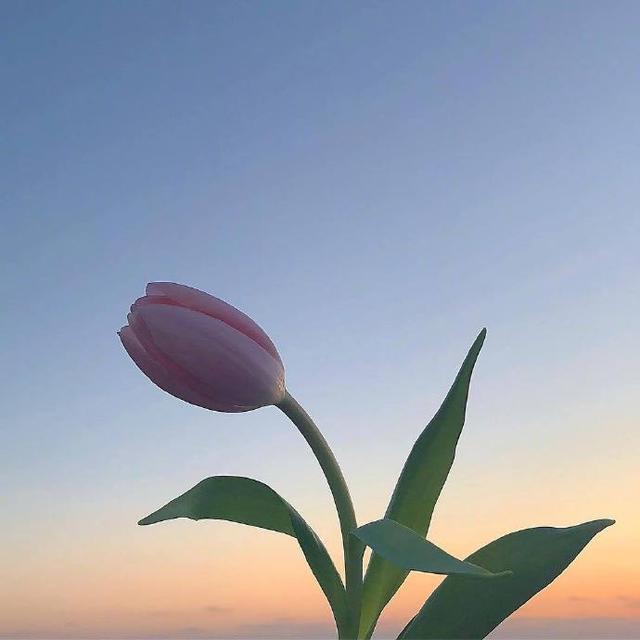 早上好经典句子，精辟走心，发朋友圈超赞！