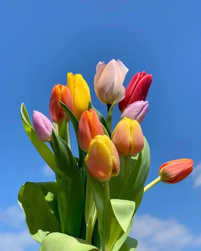 人生正能量励志的句子，致努力拼搏的自己！