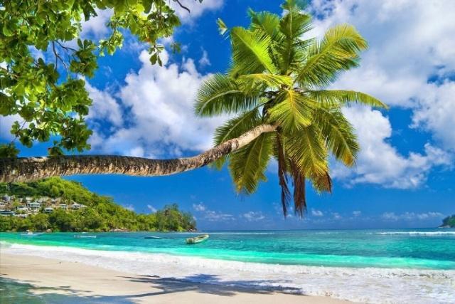 阳光暖心的早安说说，简短走心，适合发朋友圈！