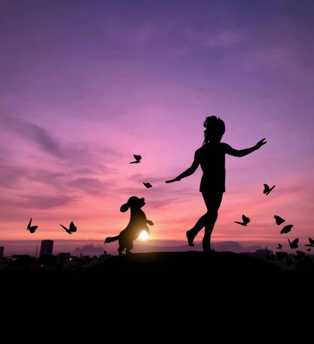 适合夜深人静发的短句，哪一句触碰了你的心弦？