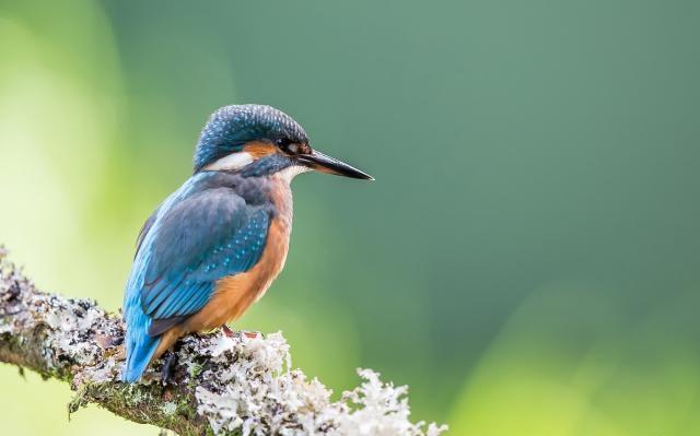 早上写给自己的人生感悟，句句经典，大彻大悟！