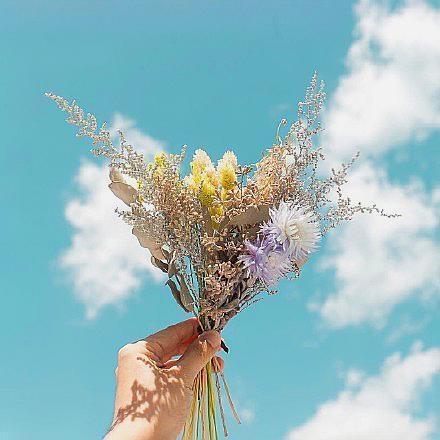 早安心语最美丽的语句，干净有气质，值得分享！