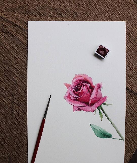 经典走心的人生感悟短语，内涵深刻，早读早受益！