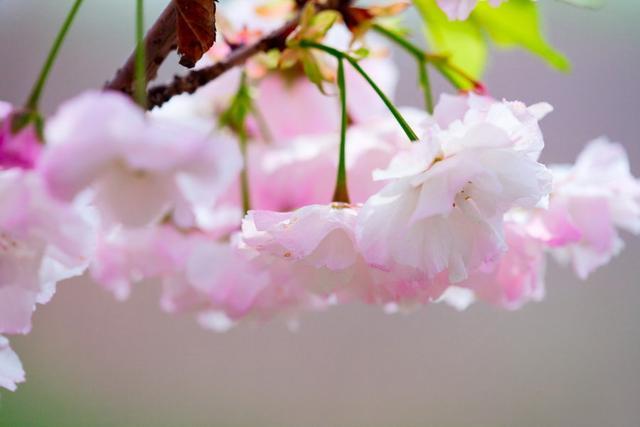 早安心语正能量简单语录，让你活力四射一整天！