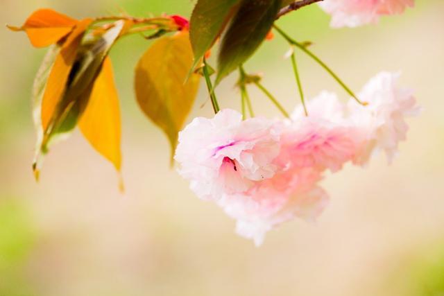 早安心语正能量简单语录，让你活力四射一整天！