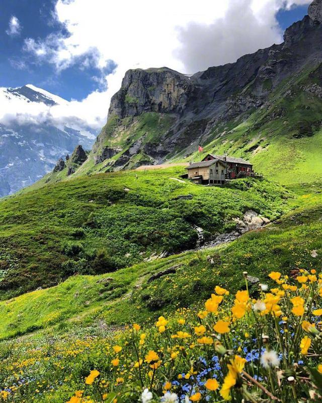 醒悟人生的精致短语，经典实用，干货满满！