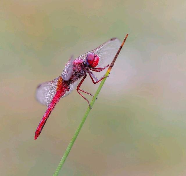 21句最近比较火的句子，经典睿智，值得一读！