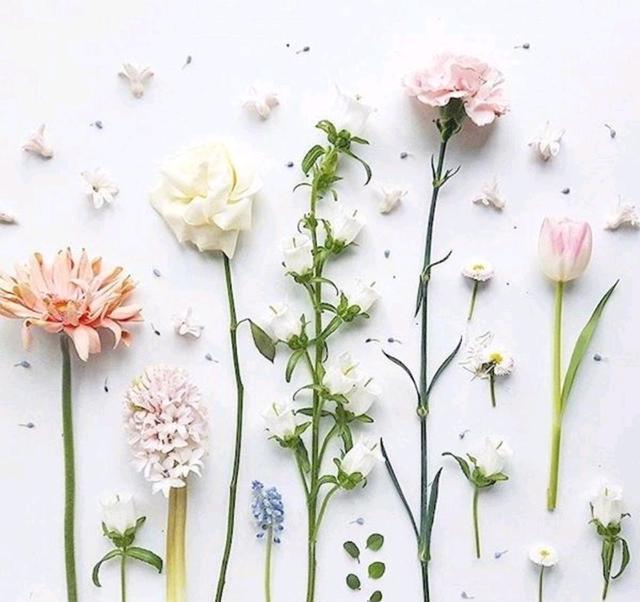 四月绝不能错过的心情短语，总有一句让你痴迷！