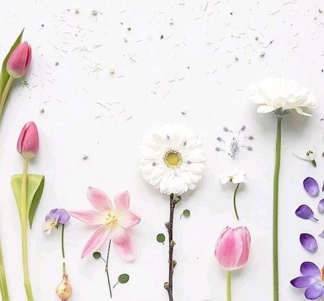 四月绝不能错过的心情短语，总有一句让你痴迷！