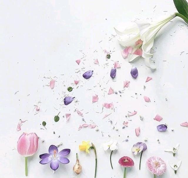 四月绝不能错过的心情短语，总有一句让你痴迷！