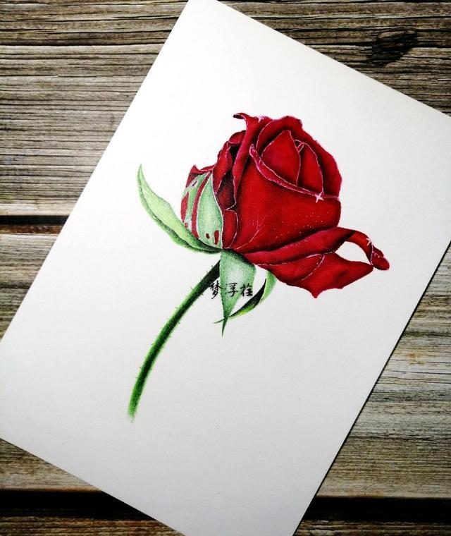 经典生活感悟句子，蕴含大智慧，越早明白越好！