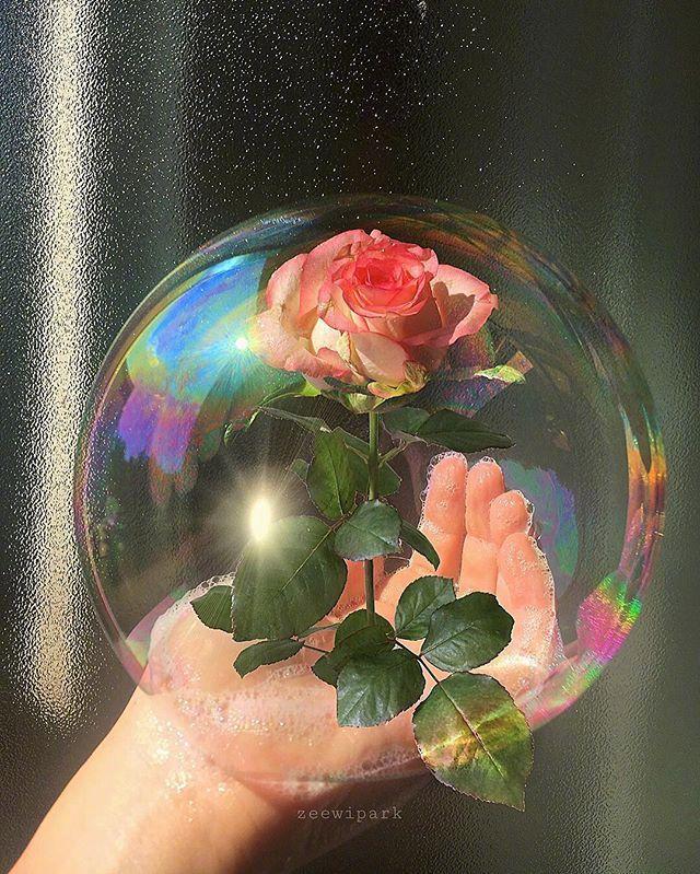 表达情感的文字配美图，精致唯美，触动心灵！