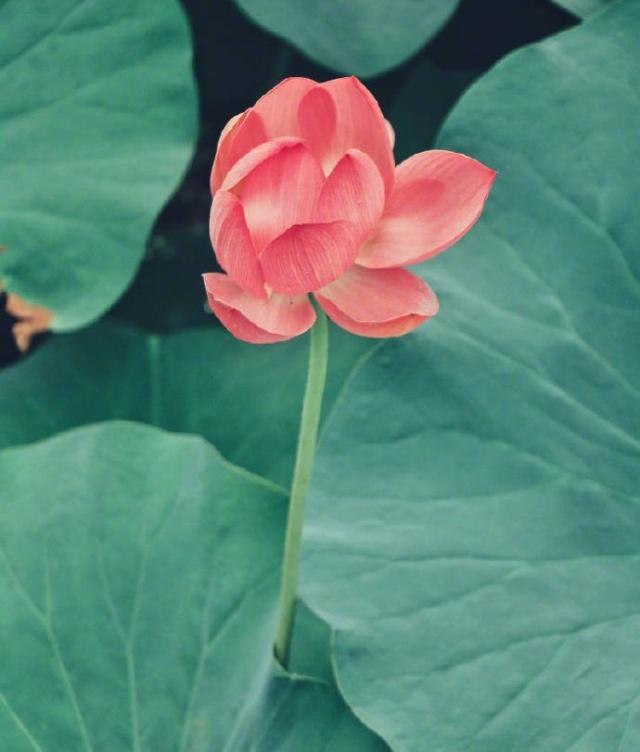 充满哲理的人生感悟句子，绝对让你受益匪浅！