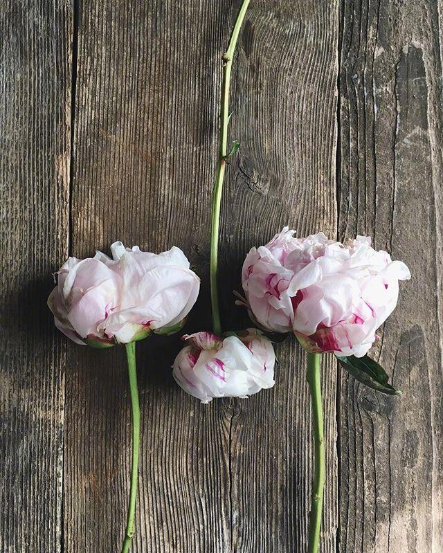 触动心灵的爱情语录，精致入心，百读不厌！