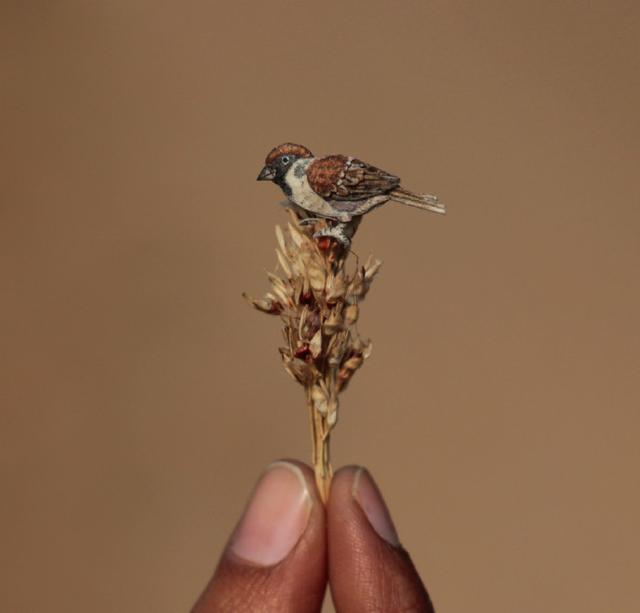 句句带刺的话，现实到噎死人，太犀利了！