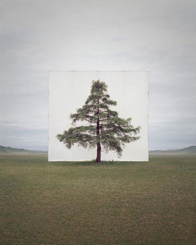 犀利直白的人生感悟，睿智深刻，总结得真到位！