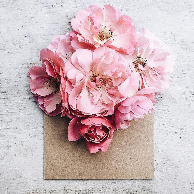 让人越看越爱的爱情语录，真挚走心，值得一读！