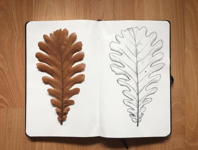 碰触心灵的人生感悟句子，精辟入心，终生受益！