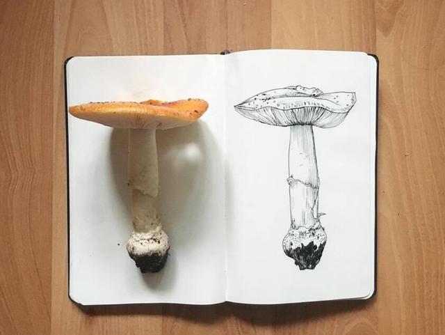 碰触心灵的人生感悟句子，精辟入心，终生受益！