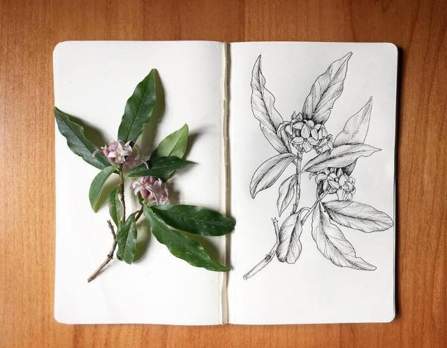 碰触心灵的人生感悟句子，精辟入心，终生受益！