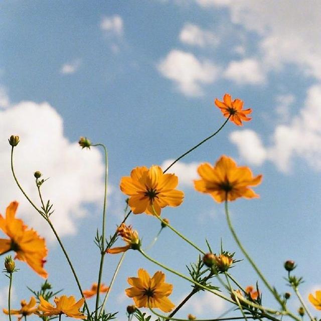 一句话早安正能量句子图片，唯美阳光，催人奋进！