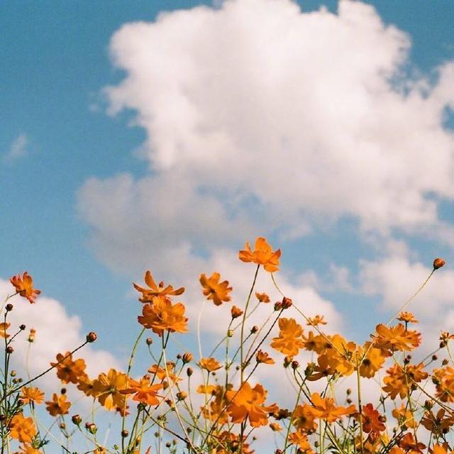 一句话早安正能量句子图片，唯美阳光，催人奋进！