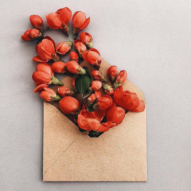 三八妇女节暖心祝福语，祝所有女神节日快乐！