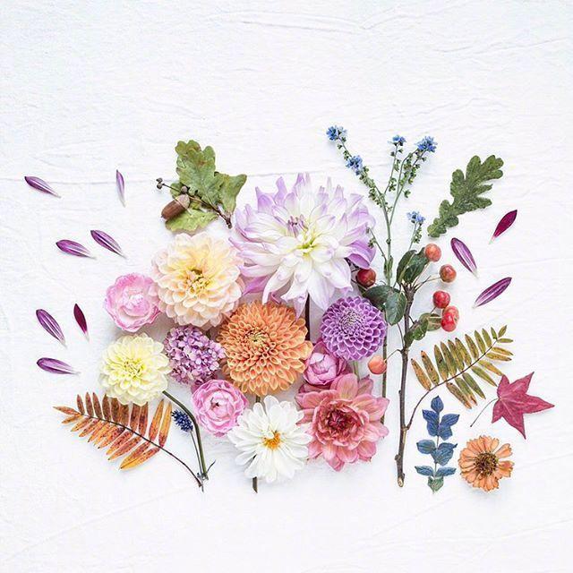 简单干净的说说句子，经典唯美，越读越喜欢！