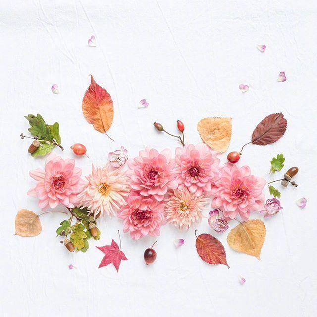 简单干净的说说句子，经典唯美，越读越喜欢！