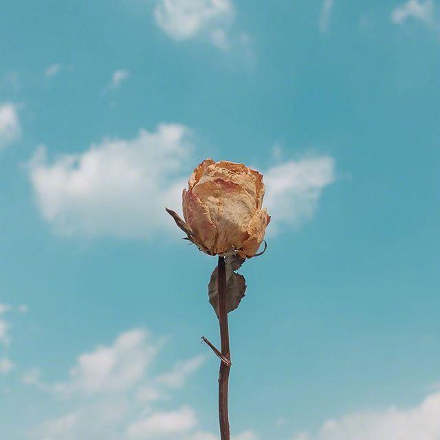 早安心语励志正能量语录，句句箴言，越读越优秀！