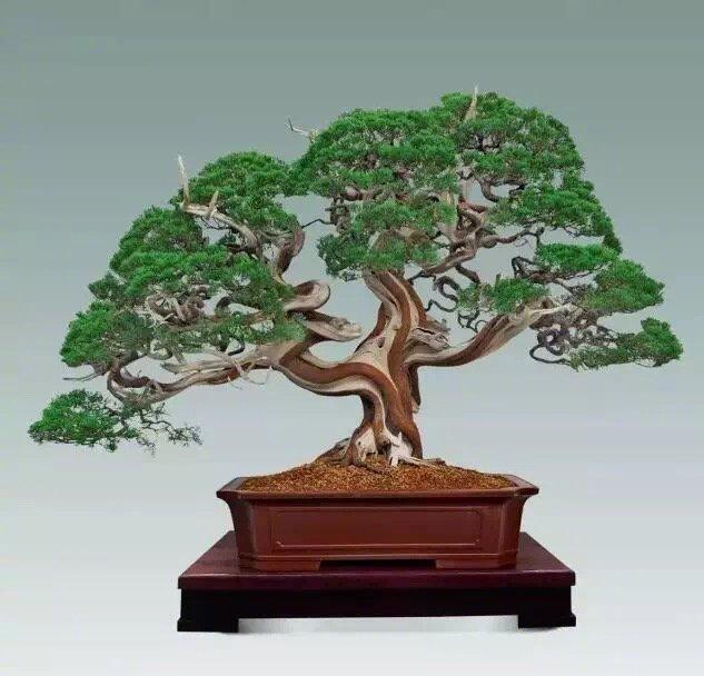 人生简单就幸福的句子，句句精湛，多读几遍受益无穷！