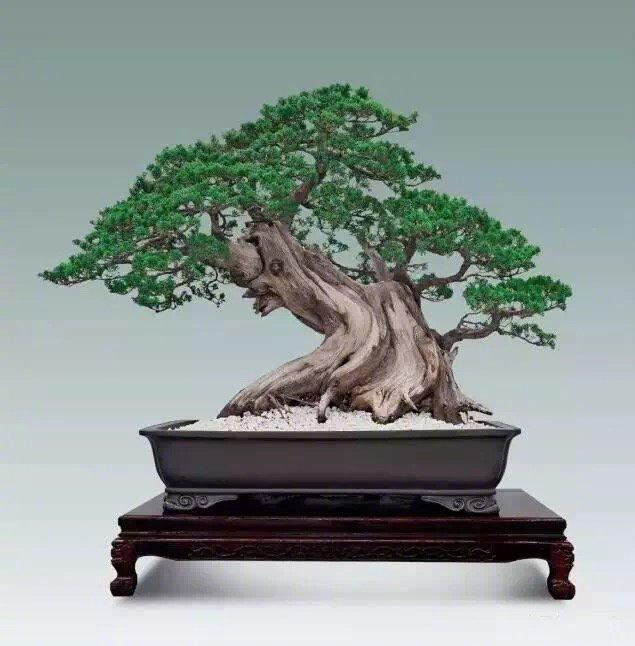 人生简单就幸福的句子，句句精湛，多读几遍受益无穷！