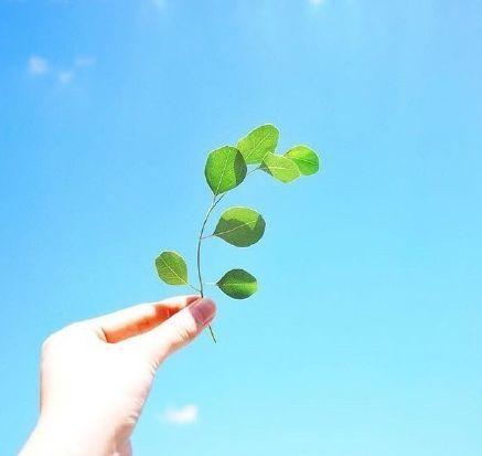 早安正能量励志语录图片，致不甘平庸的你！