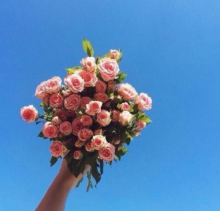 早安正能量励志语录图片，致不甘平庸的你！