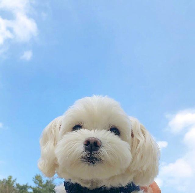 简短入心的早安心语，精妙绝伦，一秒倾心！