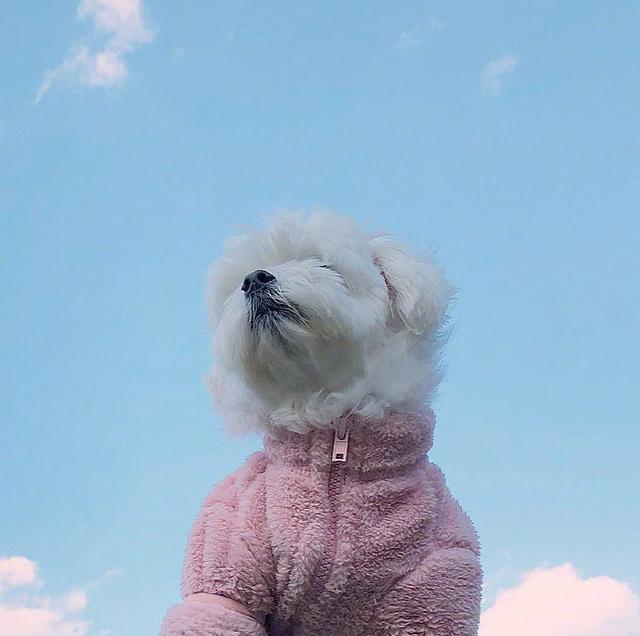 简短入心的早安心语，精妙绝伦，一秒倾心！