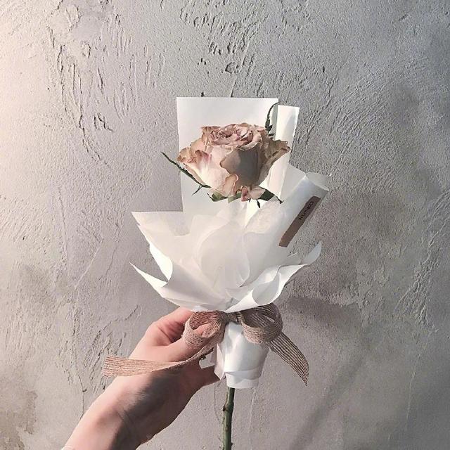 惊艳三月的好句子，做个性签名的最佳选择！